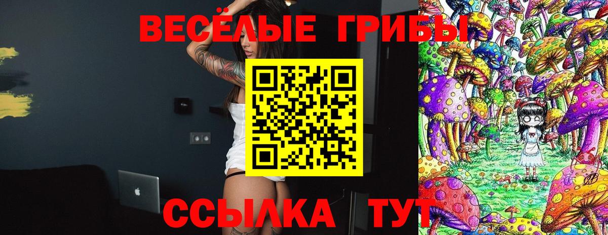 Псилоцибиновые грибы мухоморы  Вход с VPN  Кандалакша 
