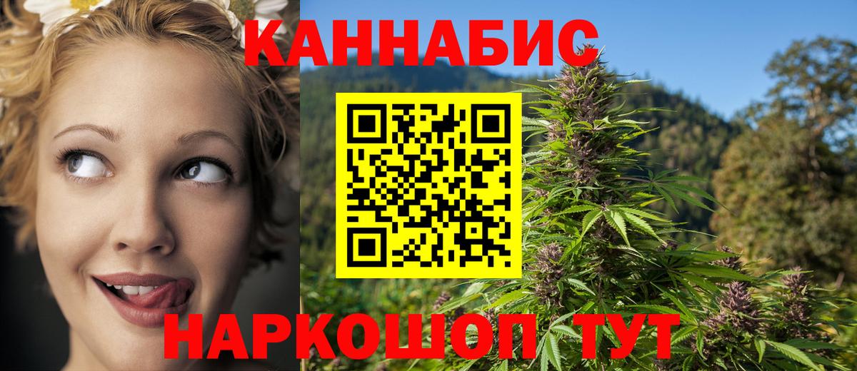 МЕФ Кандалакша